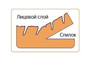Какие бывают виды кожи