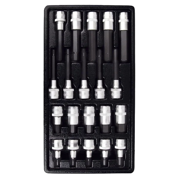 AmPro Набор головок 1/2" с шестигранник, 20 предметов, T33225 - 1