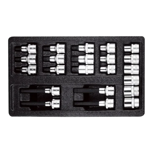 AmPro Набор головок TORX внутренний и внешний, 22 предметов, T33224 - 1