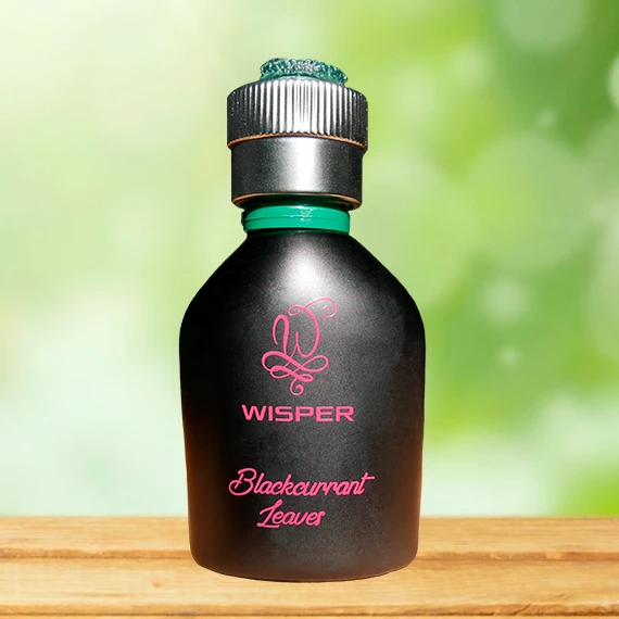 Автопарфюм Wisper Blackcurrant Leaves WBL 30 мл - 4