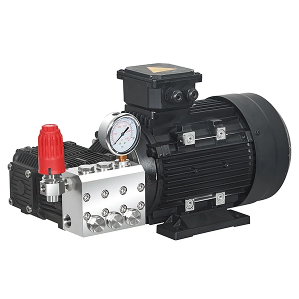 100 бар Насос промышленный высокого давления Poly из нержавеющей стали PL-3010, 1450об/мин - 4