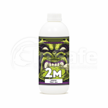 Автошампунь DTS 2М для ручной мойки 500мл 40205