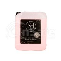 Motor Care & Clean - эмульсия для очистки и защиты пластика и резины, 5 л, SFRU10269.2, servFaces